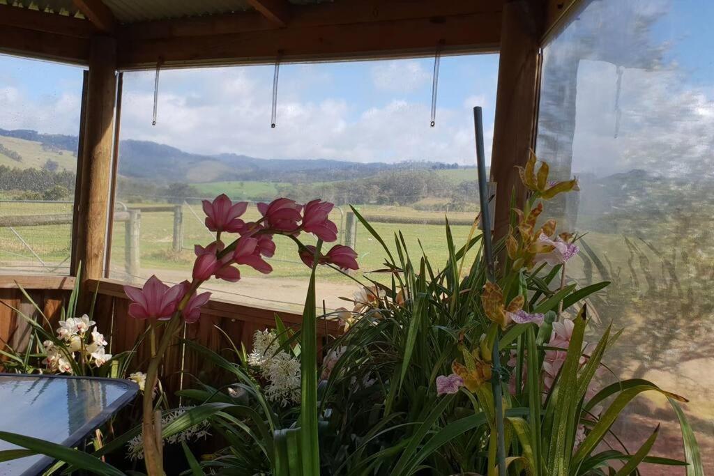 Handsome Hills Dairy Retreat Won Wron Exterior foto